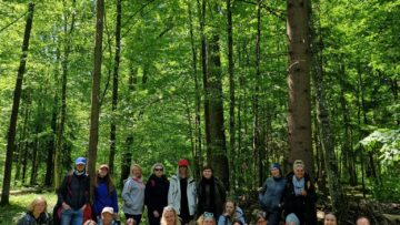 Forest Therapy Bascics in Education, 2024